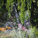 Land-gut-hotel Allerhof 3*