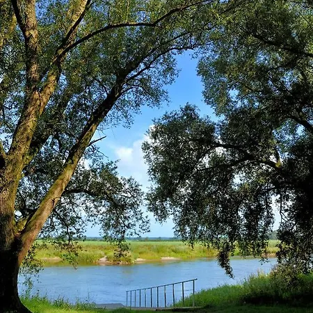 Land-gut-hotel Allerhof Kro 3*