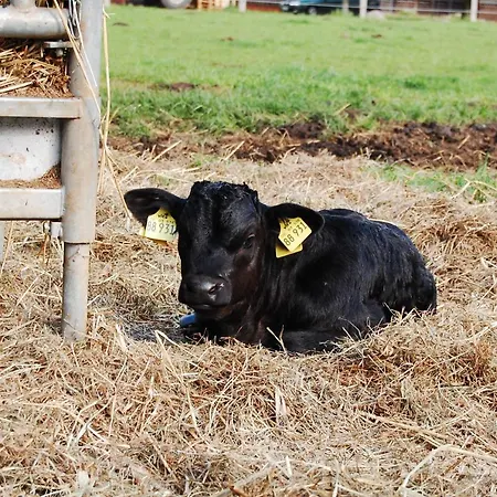 Land-gut-hotel Allerhof Frankenfeld