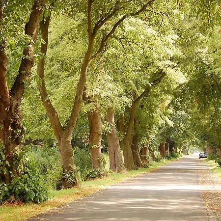 Inn Land-gut-hotel Allerhof 3*