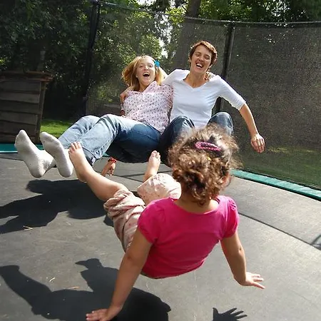 Land-gut-hotel Allerhof אורחן 3*