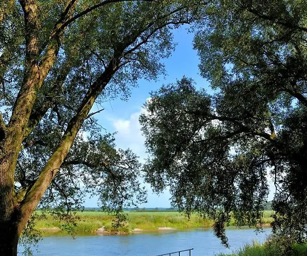 Land-gut-hotel Allerhof Zajazd 3*