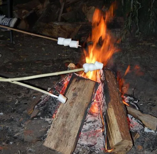 Zajazd Land-gut-hotel Allerhof 3*